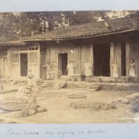 Farm house - tea drying in front