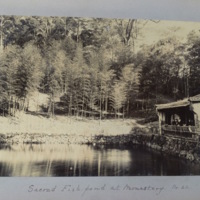 Sacred Fish-pond at monastery. No. 22