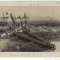 Pumping water into Rice fields